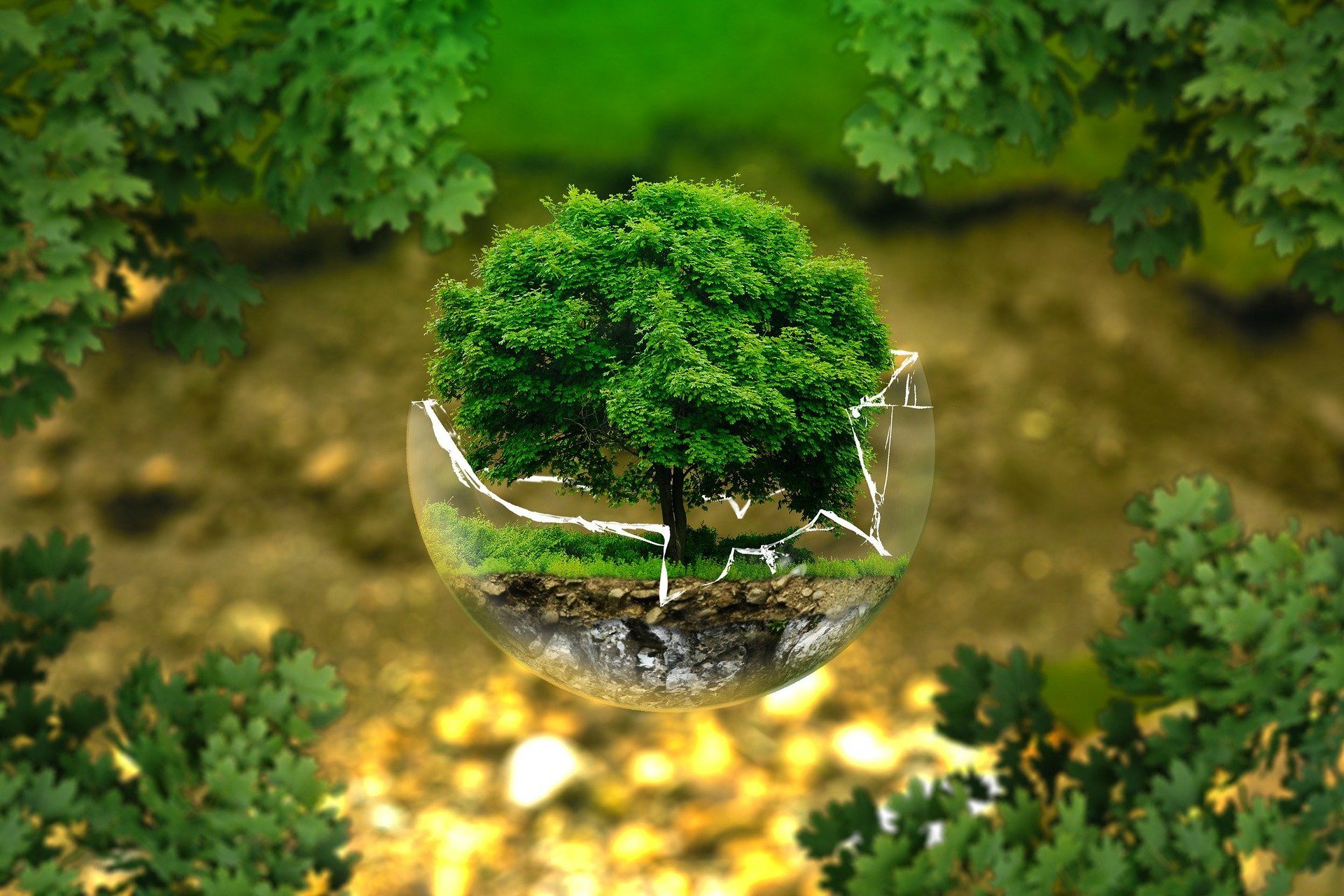 Environmental Protection G25c970966 1920 Soft Skills