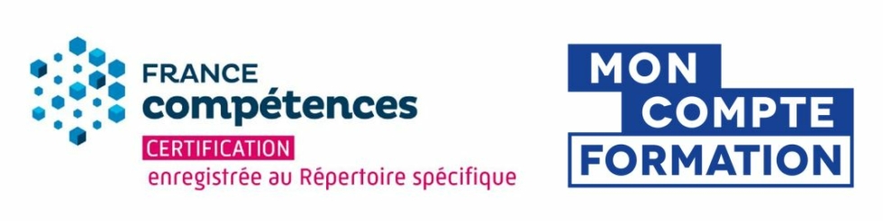 Faciliter l'Intelligence Collective au sein d'une Organisation - IFOD